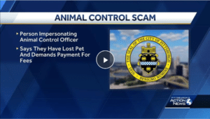 Pittsburgh Public Safety issues warning over lost pet scam