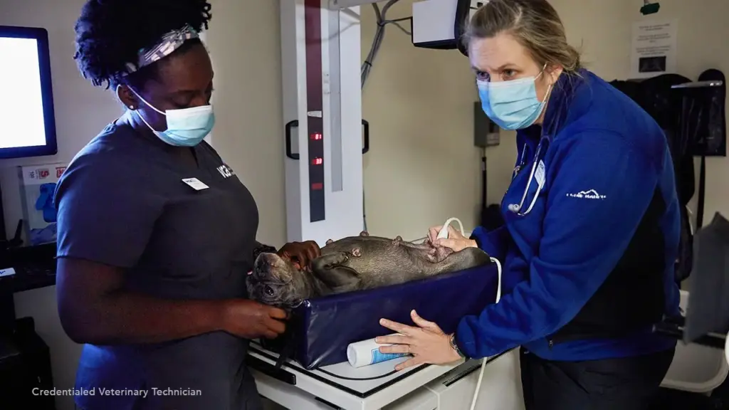 VCA Animal Hospitals Expands Access to Veterinary Care with Urgent Care Hospitals VCA Animal Hospitals Expands Access to Veterinary Care with Urgent Care Hospitals