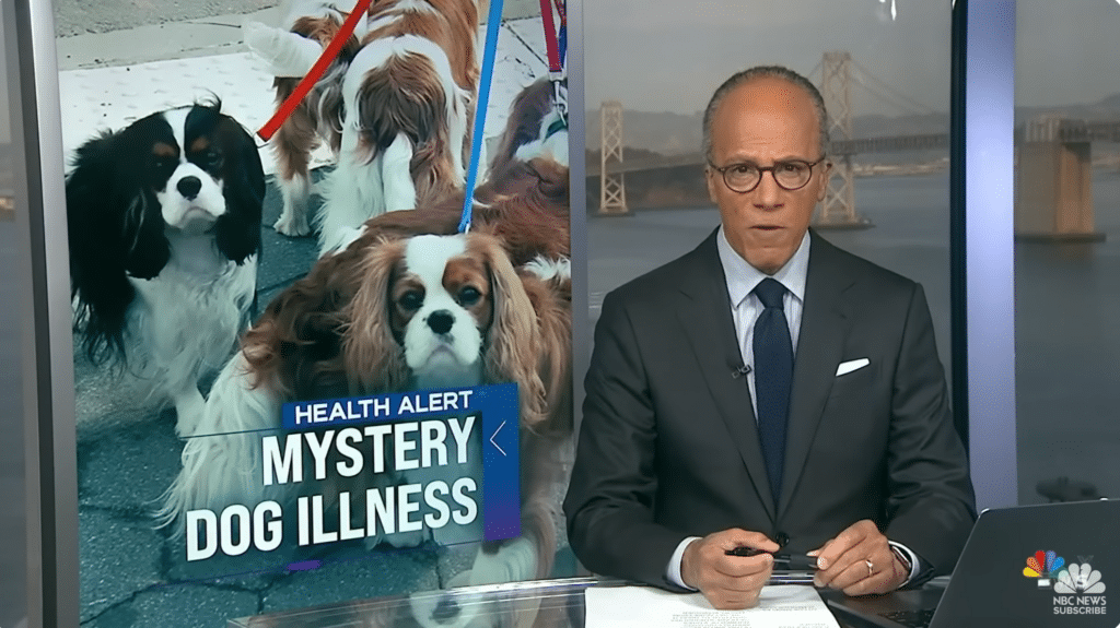Mysterious respiratory illness spreads to dogs across U.S. Mysterious respiratory illness spreads to dogs across U.S.