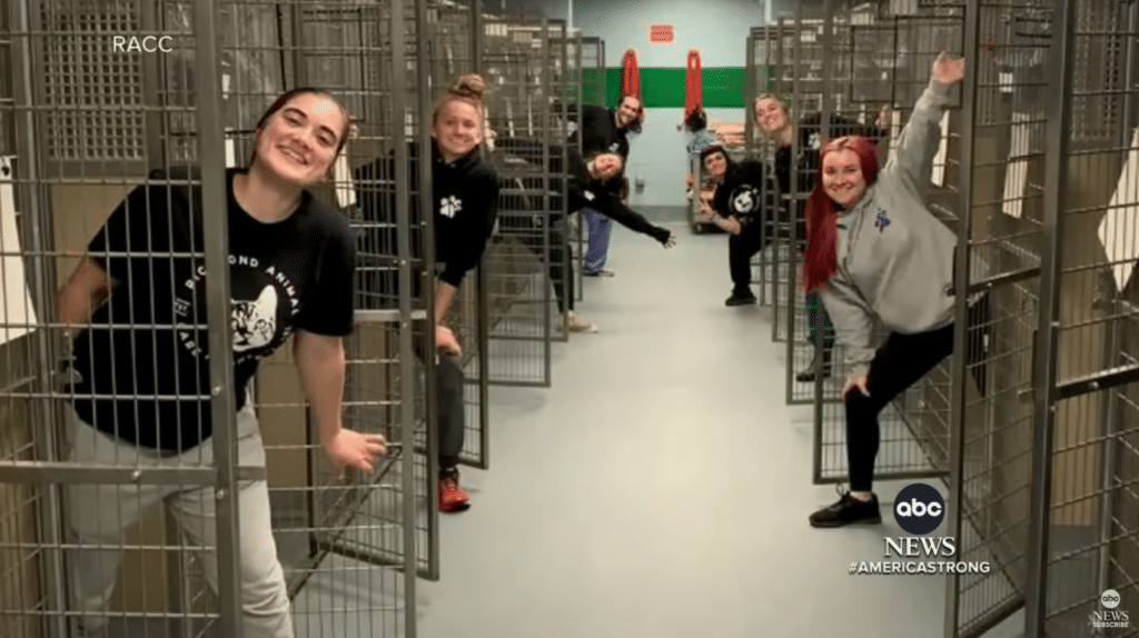 Animal shelter finds homes for pets on Thanksgiving