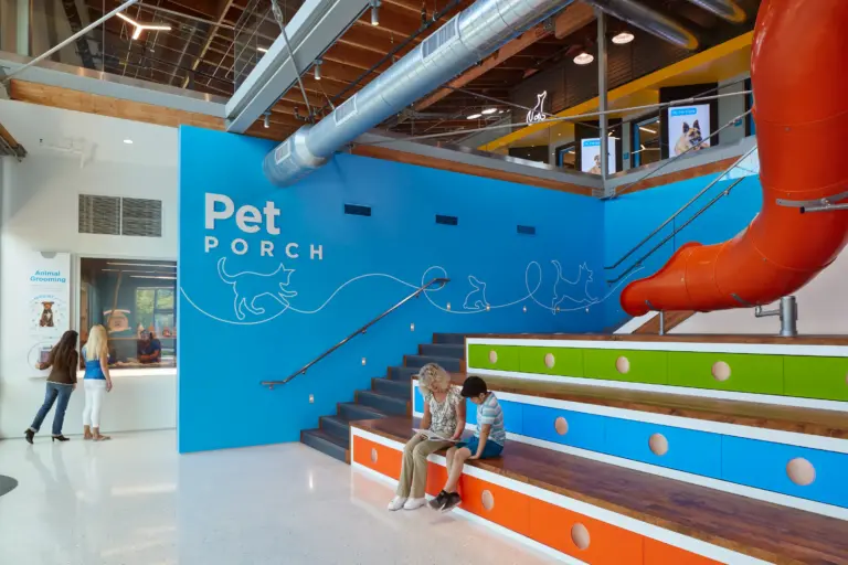 PetSpace 3 768x512