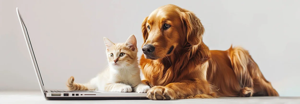 dog and cat looking at computer screen