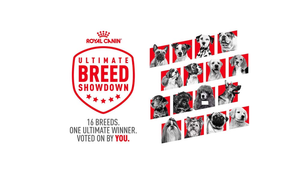 Royal Canin’s Ultimate Breed Showdown adds “Bark Madness” to March Madness