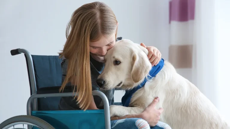 Celebrating National Service Dog Month: Honoring the Heroes Who Change Lives Daily
