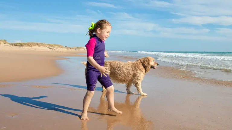 Veterinary Industry Leaders Unite to Advance Environmental Sustainability