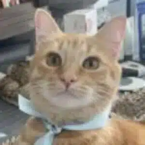 Profile photo of ollivander