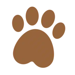 Profile photo of directory_manager