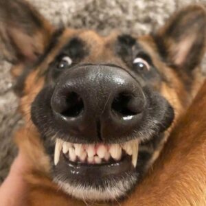 Profile photo of joellonetree